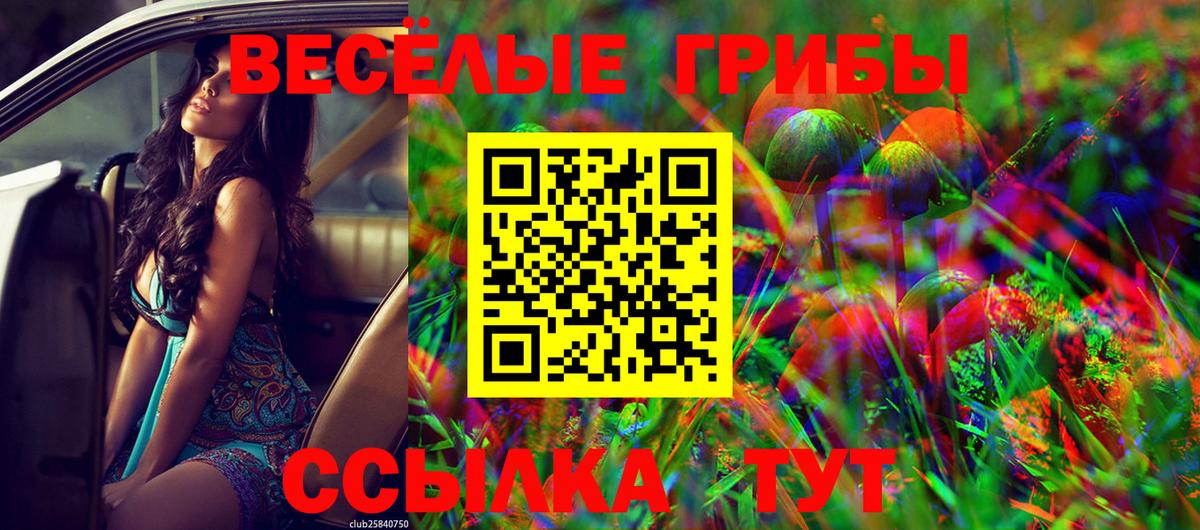 Галлюциногенные грибы Psilocybe Гагарин