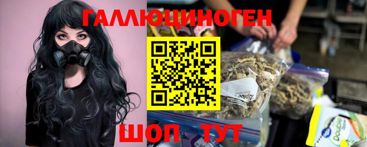 Псилоцибиновые грибы прущие грибы  Вход с VPN  цена наркотик  Гагарин 